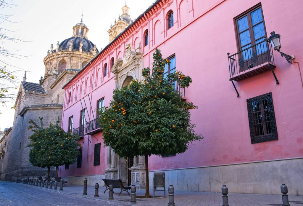 Orange tree in granda in front of pink building