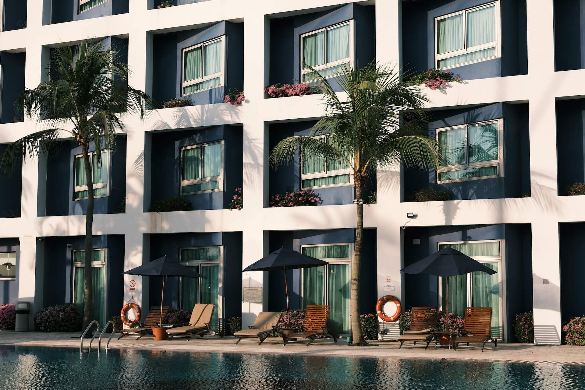 hotel pool with palm trees