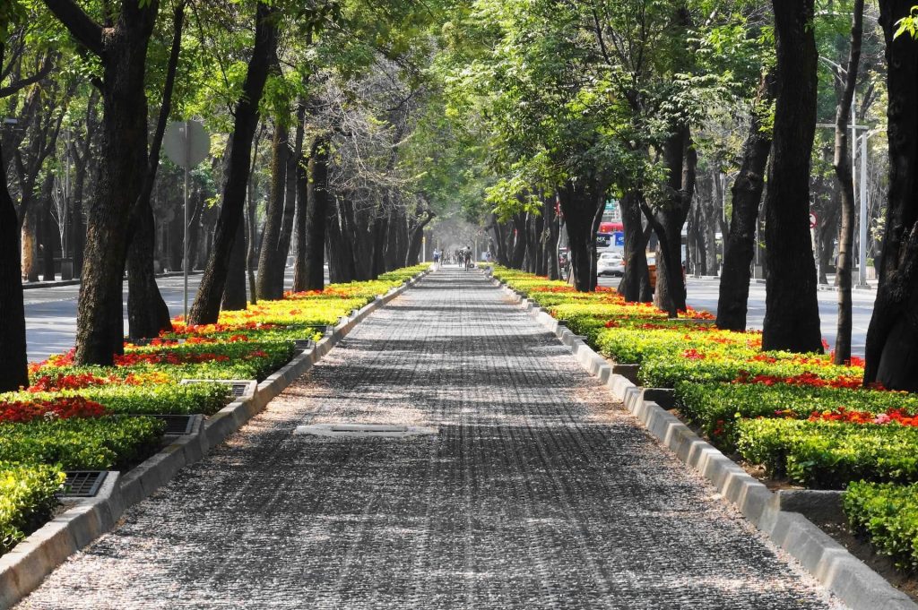 street in mexico city