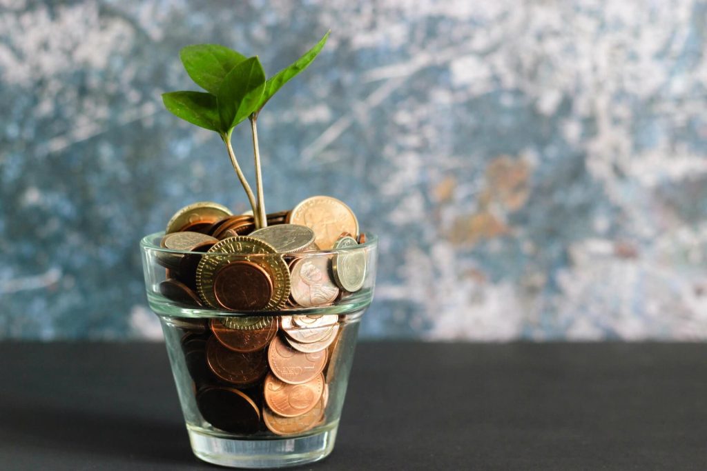 coins in flower pot