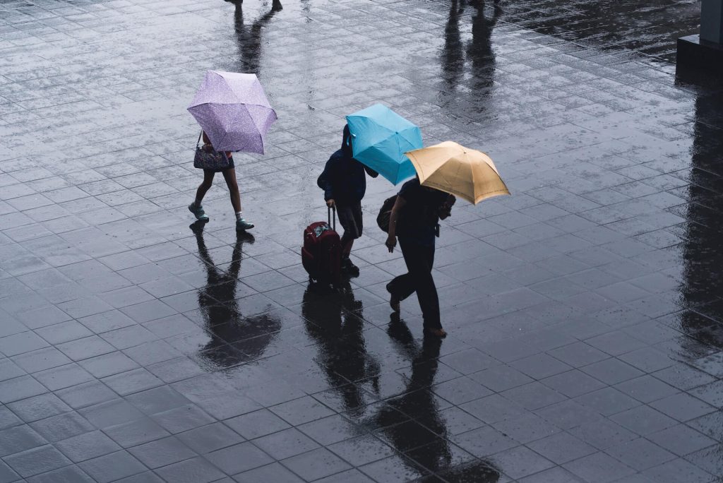 people walking with umbrellas