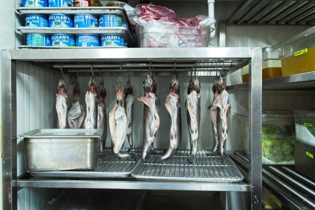 trout curing in the walk in refrigerator 