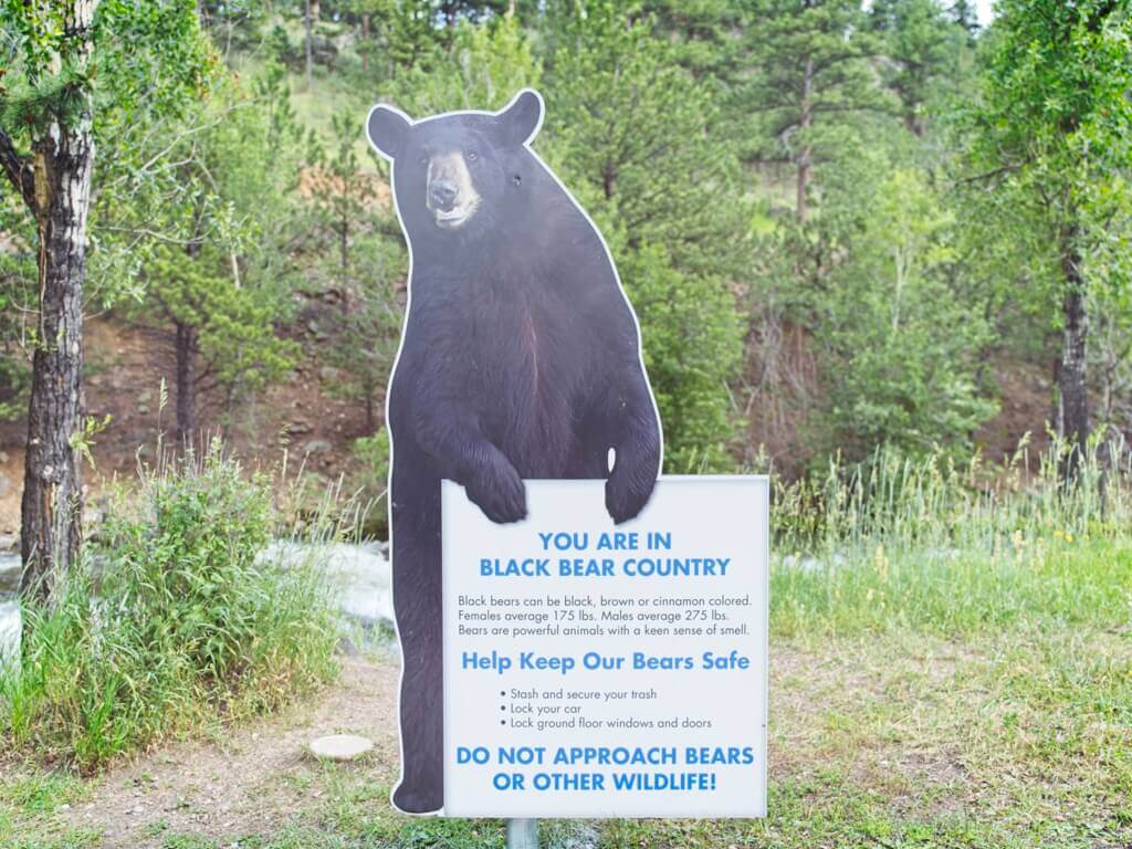 Bear Warning Sign In Estes Park